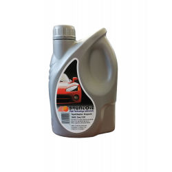 Λάδι 5W-30 1L βενζίνης SYNTHETIC EXPERT BRUNTOIL